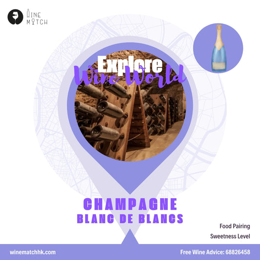 World Wine Tour 世界葡萄酒之旅 🥂