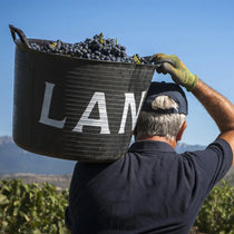 BodegasLANCulmenReserva