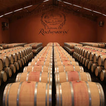 ChateaudeRochemorinRouge