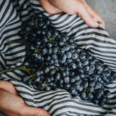 Santa Carolina Reserva de Familia Carmenere 2020