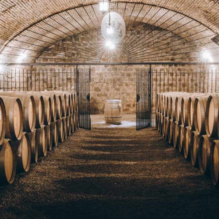 Santa Carolina Reserva de Familia Carmenere 2020